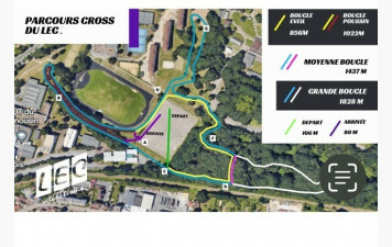 Cross Lec 07/12/2025